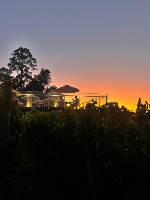 Sunset - Vinícola Almaúnica