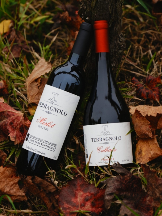 Degustação Clássica + Premium - Vinícola Terragnolo
