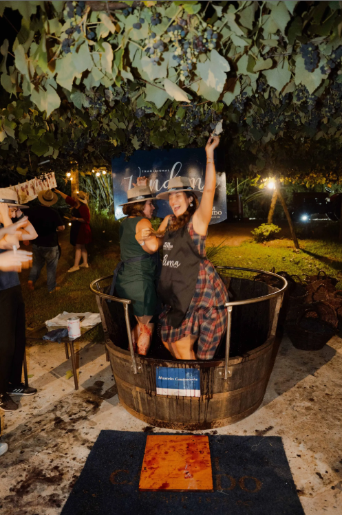 Vindima Noturna Vinícola Dom Cândido