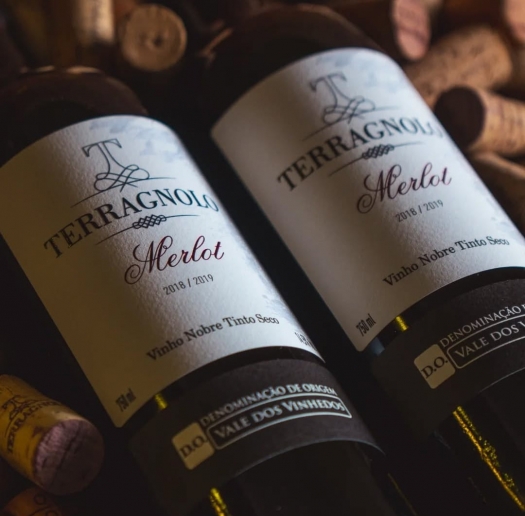 Degustação clássica - Vinícola Terragnolo