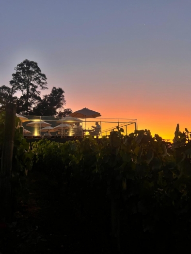 Sunset - Vinícola Almaúnica
