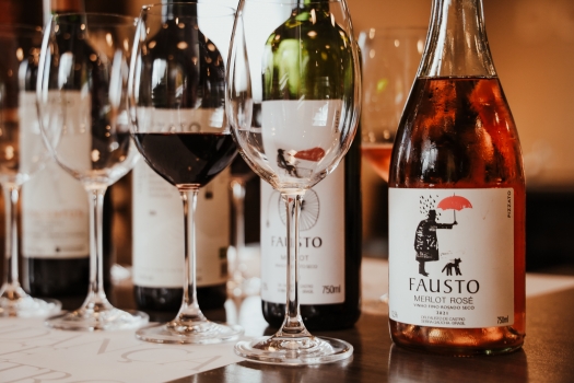 Degustação Merlot - Uva e Vinho no DNA