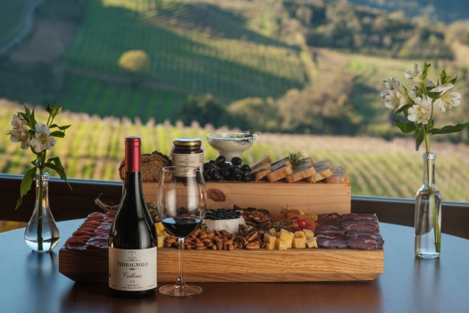 Degustação Gourmet - Vinícola Terragnolo