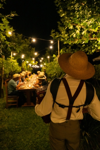 Colheita Noturna Vinhos Larentis