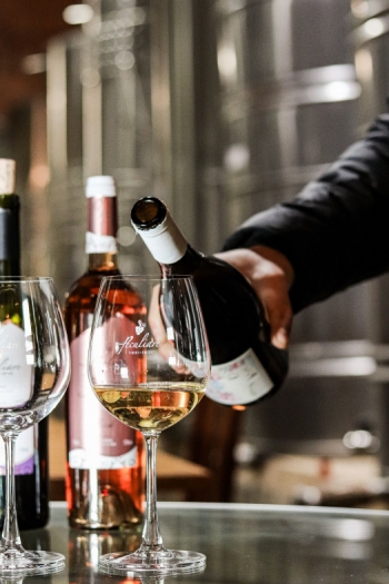 Do vinho à mesa na Vinícola Peculiare