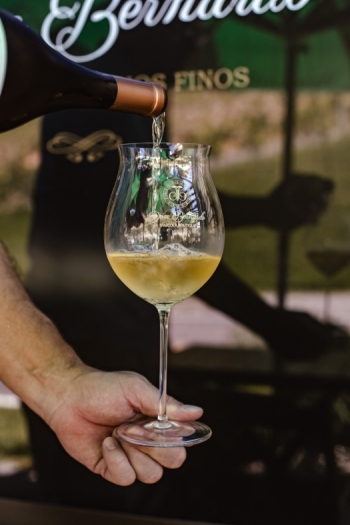 Degustação Encanto - 5 Vinhos - Dom Bernardo
