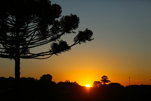 Sunset com Dj Monte Chiaro Vinhos Finos