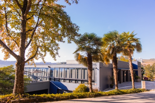 Pizzato Coravin - Degustando Colheitas Maduras