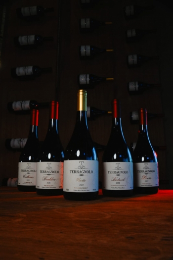 Degustação Premium - Vinícola Terragnolo
