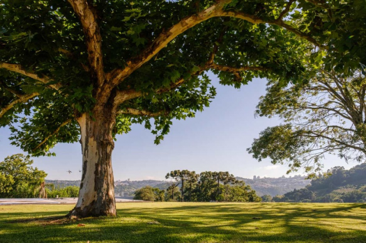 Tour Vale dos Vinhedos - Giordani Turismo