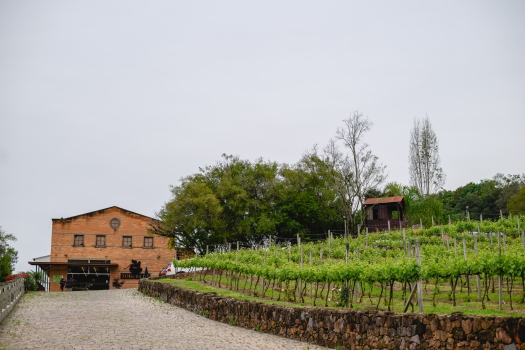 Degustação Burano - Torcello