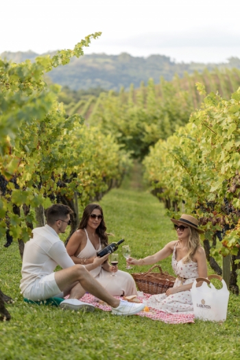 Piquenique nos Vinhedos da Larentis