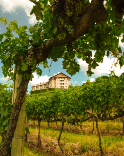 Tour Vale dos Vinhedos - Giordani Turismo